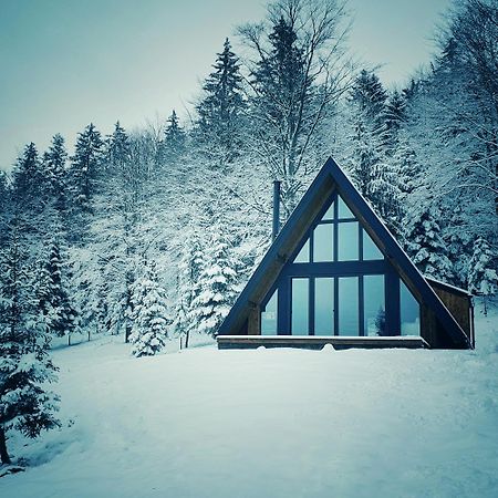 Vrleti Tare Villa Bajina Basta Exteriör bild