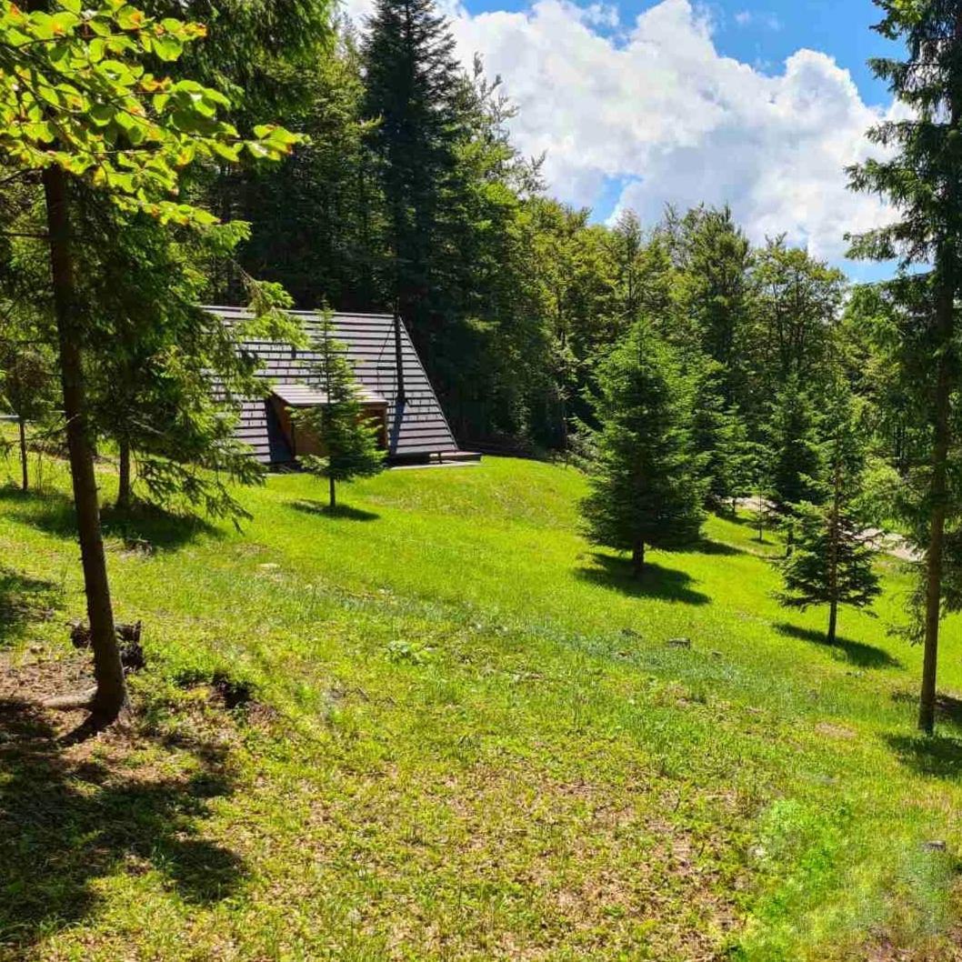 Vrleti Tare Villa Bajina Basta Exteriör bild